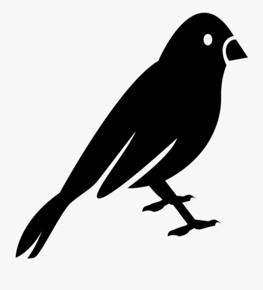 The Live Canary, Transparent Clipart