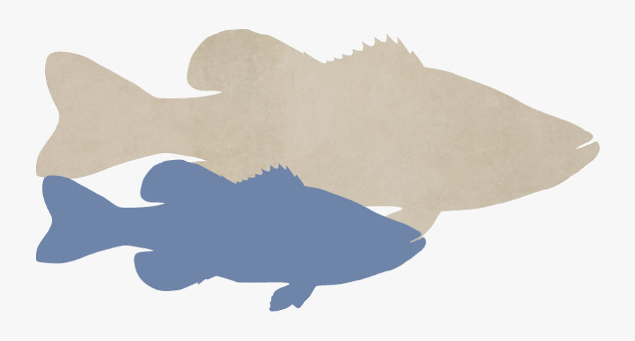 Bass Fish Silhouette Clipart, Transparent Clipart