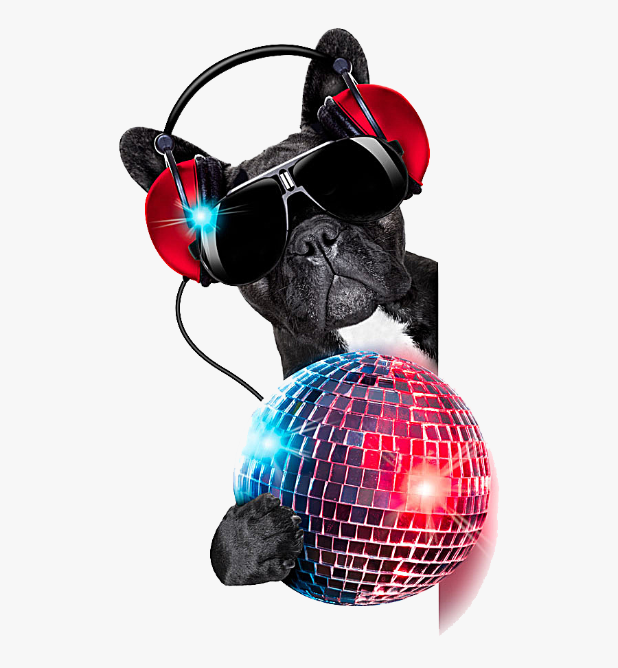 Jockey Colored Photography Dog Ball Nightclub Disc - Dj Dog, Transparent Clipart