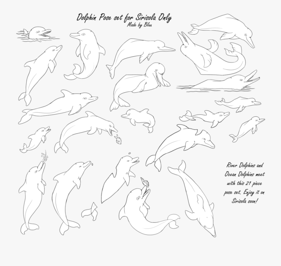 Sketch, Transparent Clipart