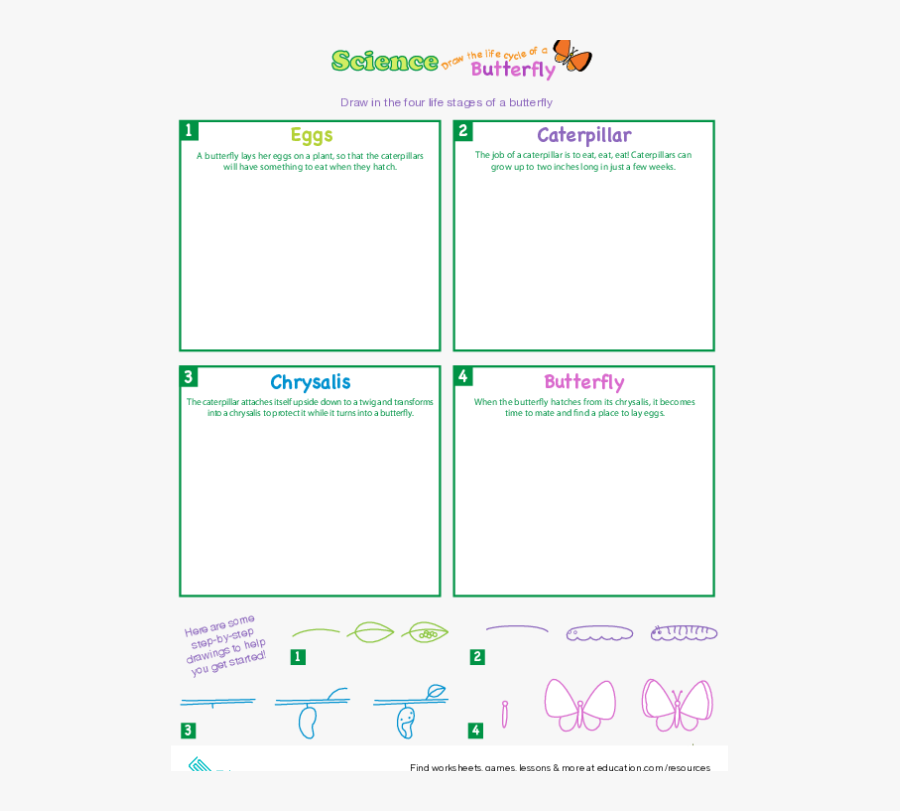 Screenshot, Transparent Clipart