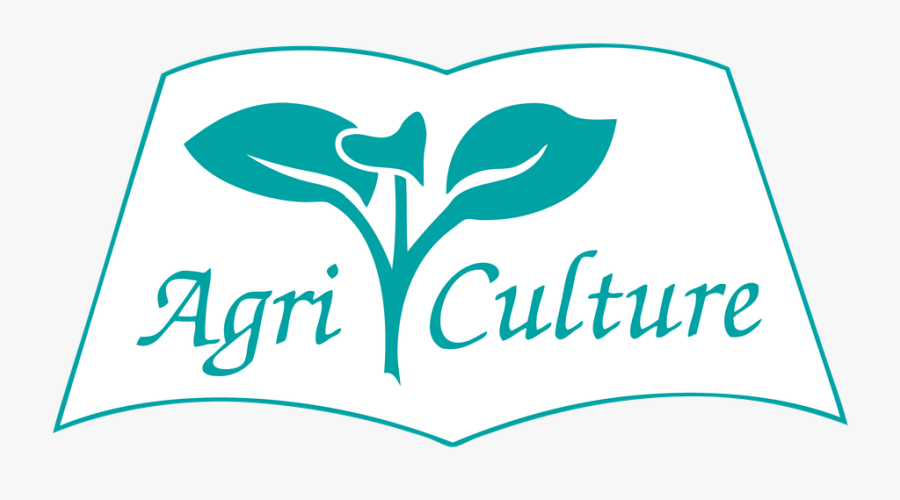 Clip Art Png For Free - Illustration, Transparent Clipart