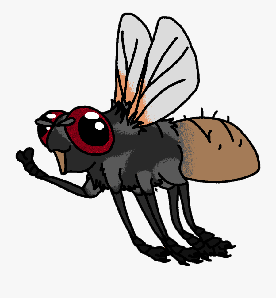 The Fly Critical Observations, Transparent Clipart