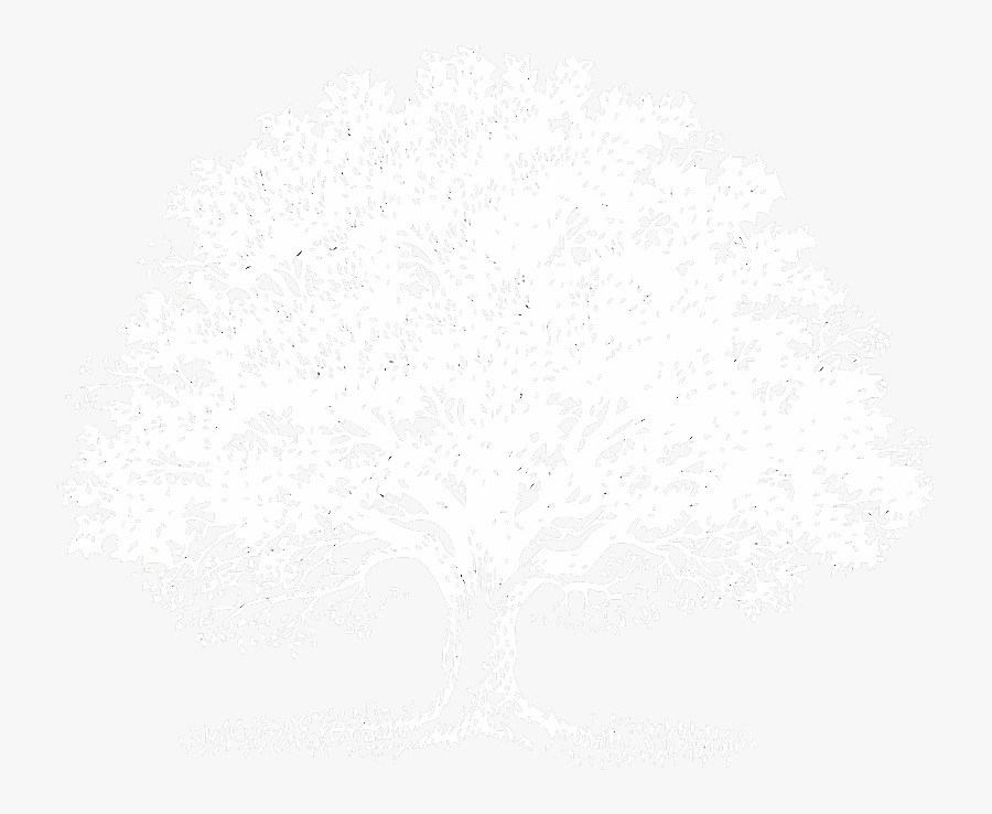 White On Transparent Png Download Memorial Funeral - Funeral Invitations Uk, Transparent Clipart