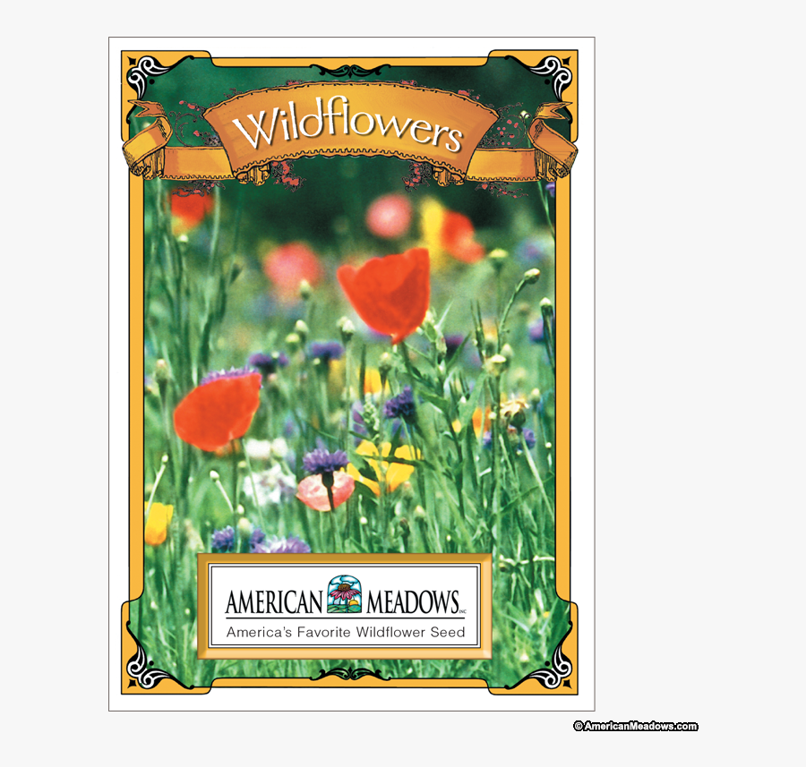 Wildflower Seed Packet, Transparent Clipart