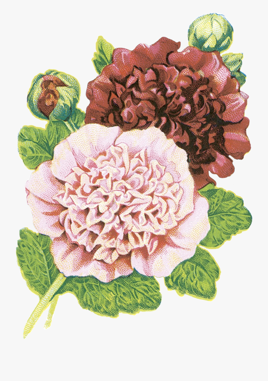 Garden, Transparent Clipart