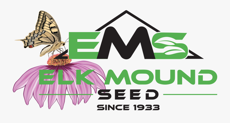 Elk Mound Wildflowers, Transparent Clipart