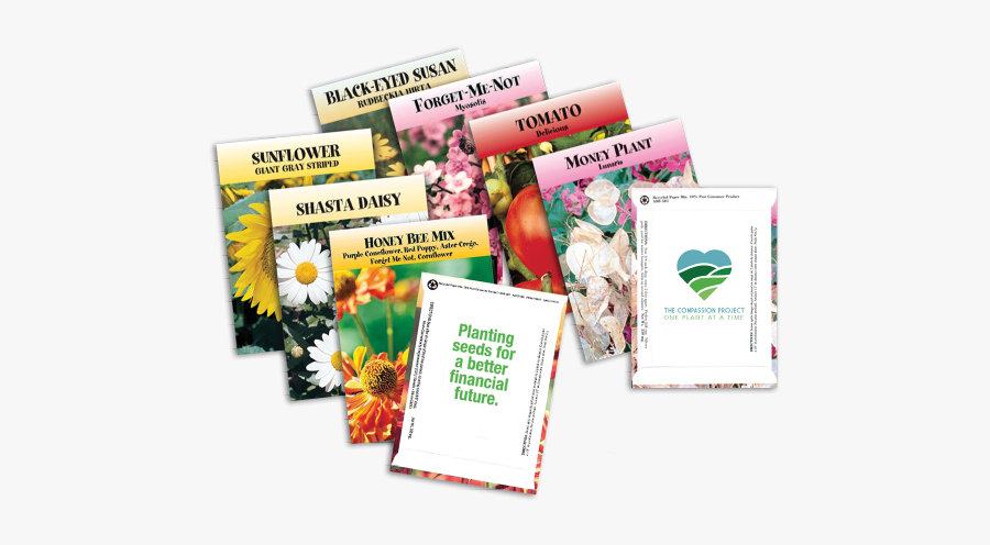 Flyer, Transparent Clipart