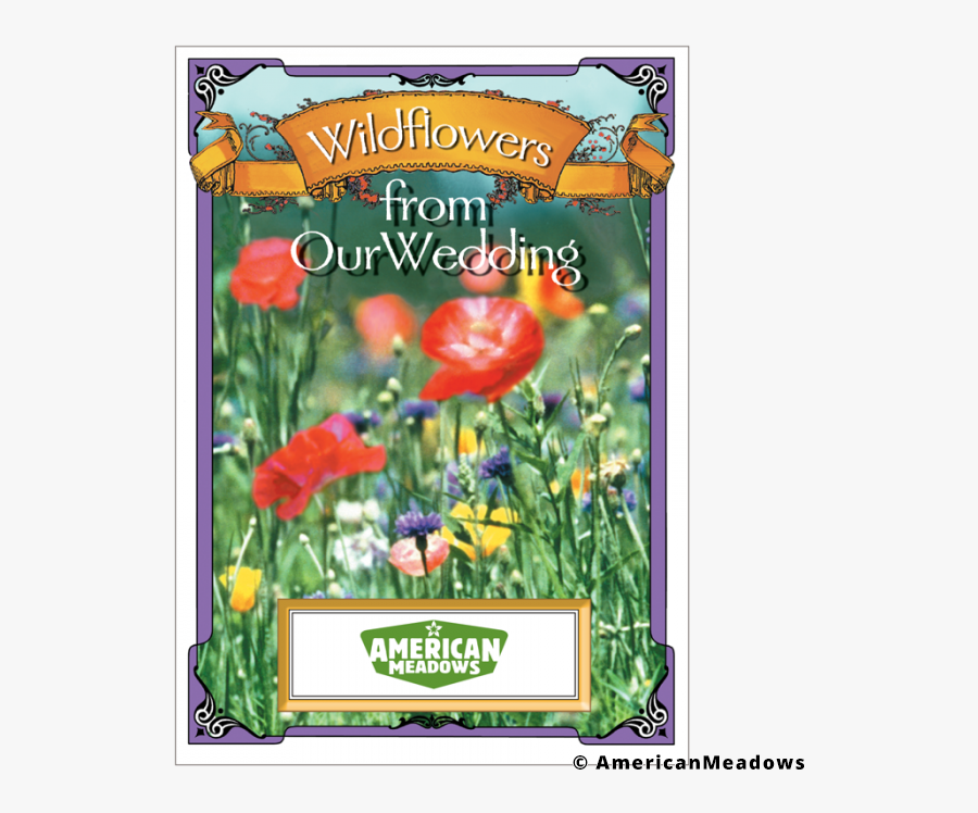 Wildflowers From Our Wedding Seed Packet - Wildflower Seed Packet, Transparent Clipart