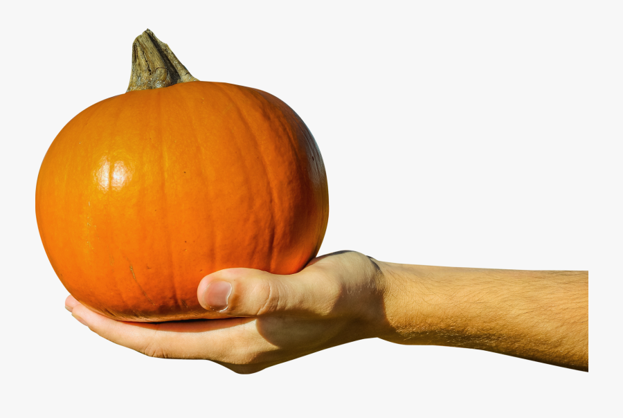 Transparent Painted Pumpkin Clipart - Hand Holding Pumpkin, Transparent Clipart