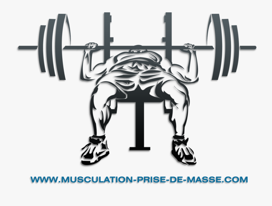 19 Dumbbell Banner Free Download Bench Press Bar Huge - Bench Press Logo Png, Transparent Clipart
