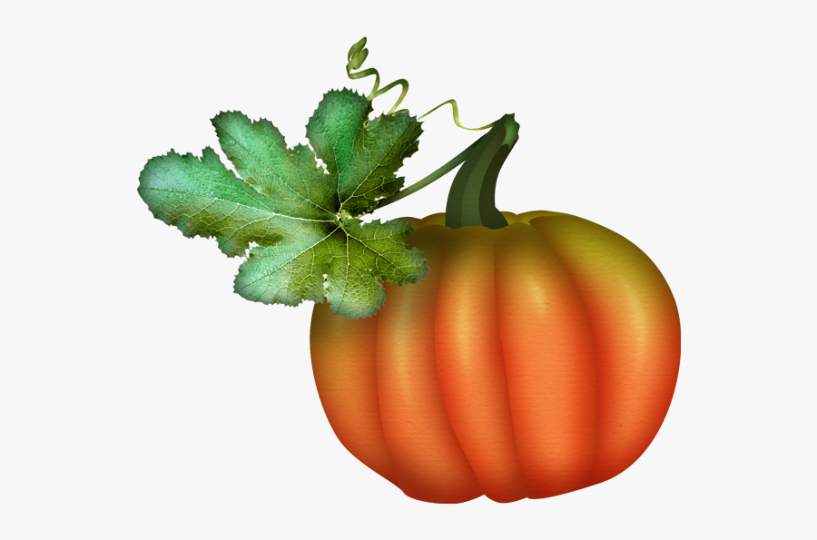 Tube Automne, Citrouille Png, Courge - Pumpkin, Transparent Clipart