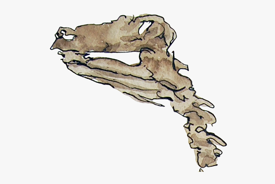 Illustration, Transparent Clipart