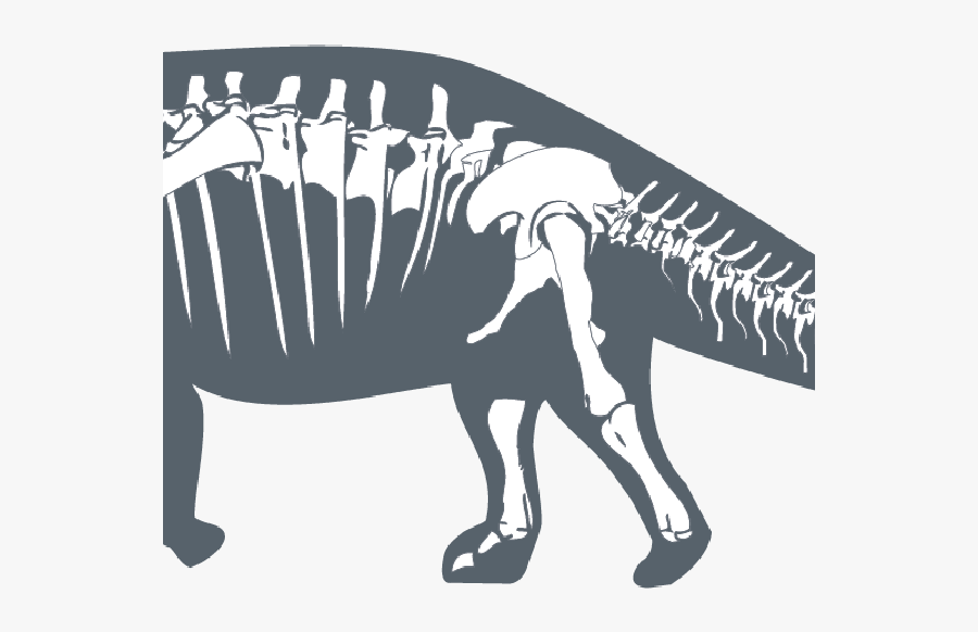 Dinosaurs Infographic, Transparent Clipart