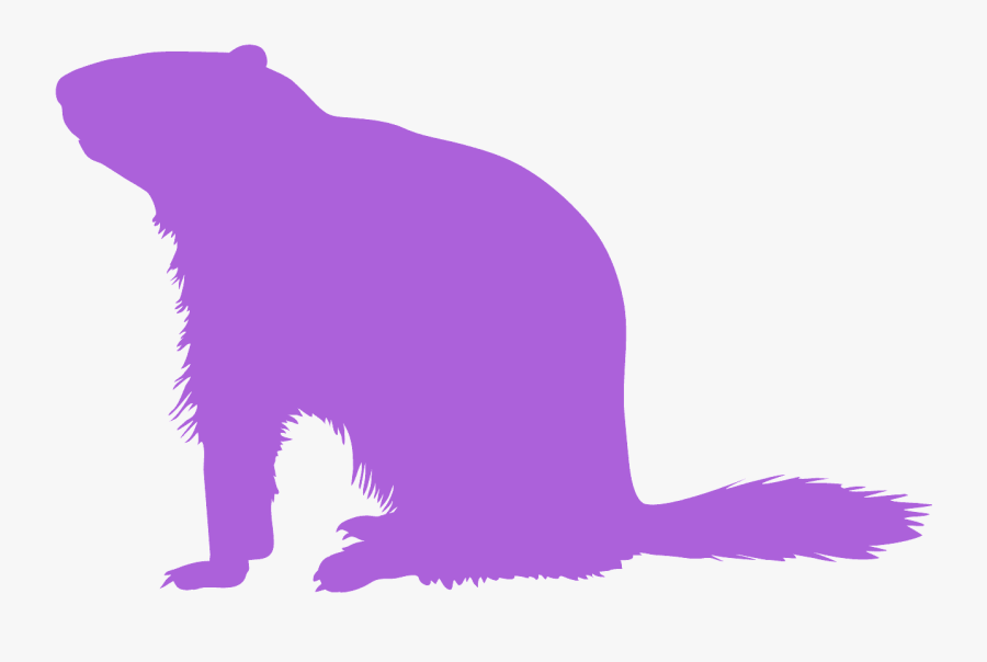 Ground Hog Clipart, Transparent Clipart
