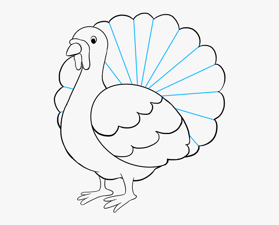How To Draw Turkey - Feather Animals Drawing, Transparent Clipart