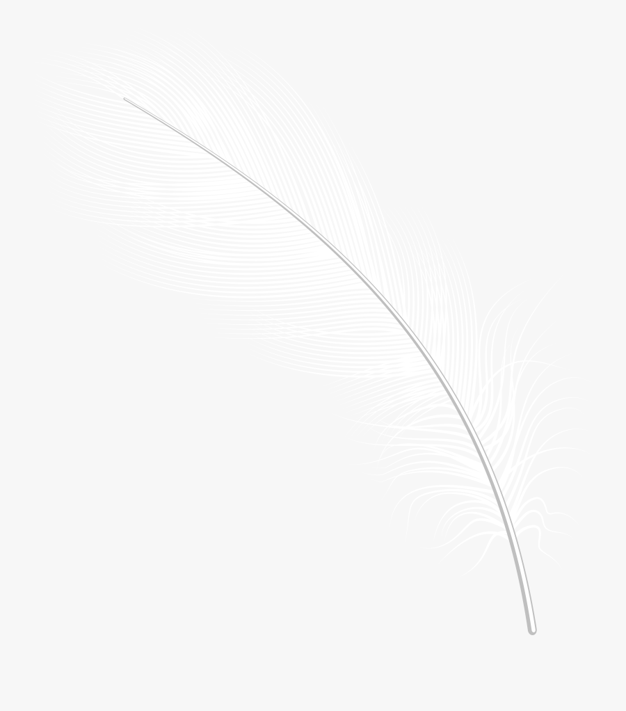 Transparent Red Feather Clipart, Transparent Clipart