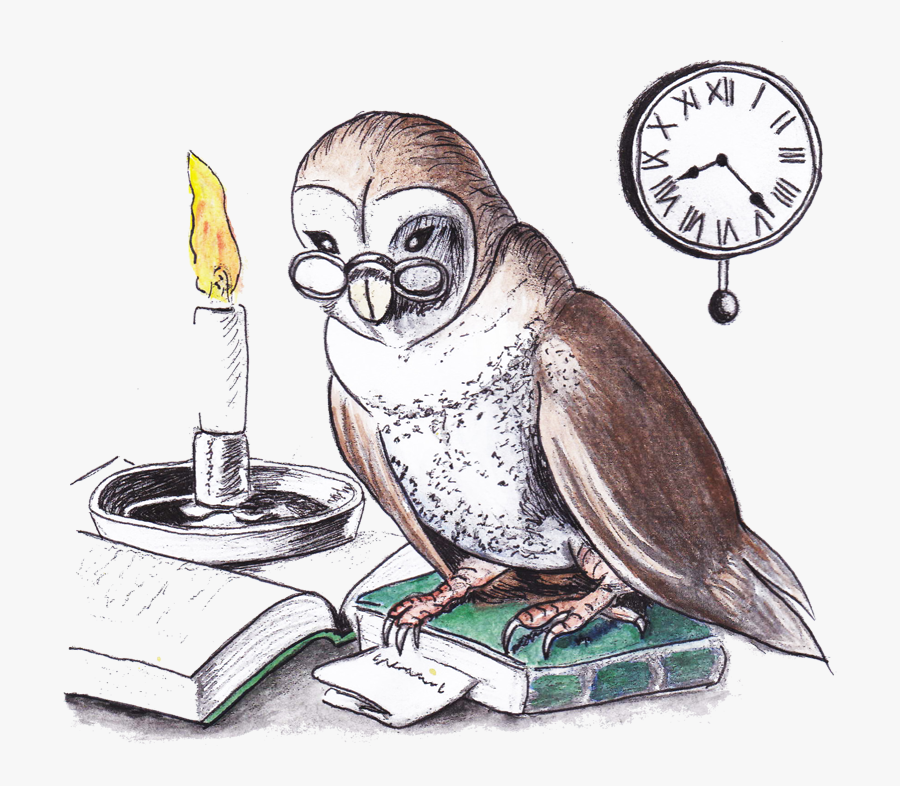 Owl-colour - Cartoon, Transparent Clipart