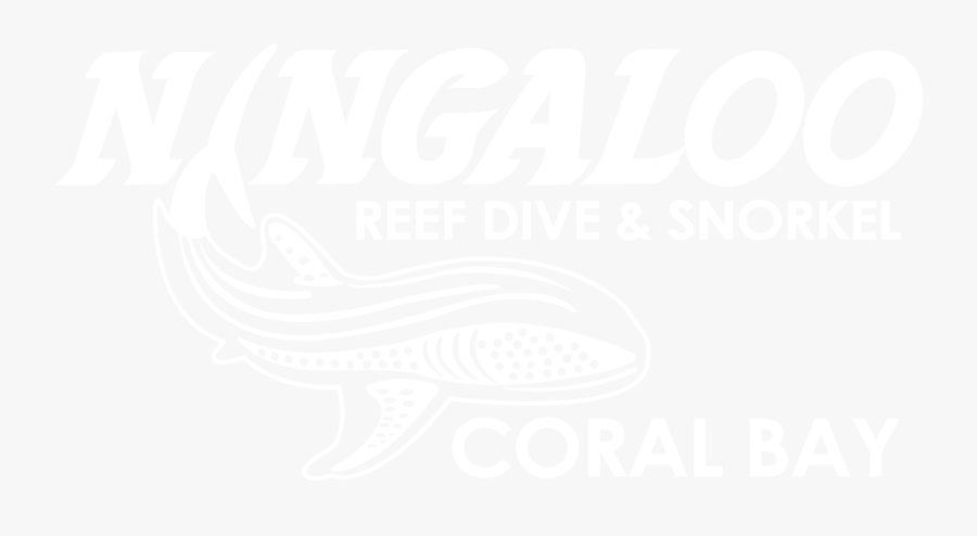 Ningaloo Reef Dive, Transparent Clipart