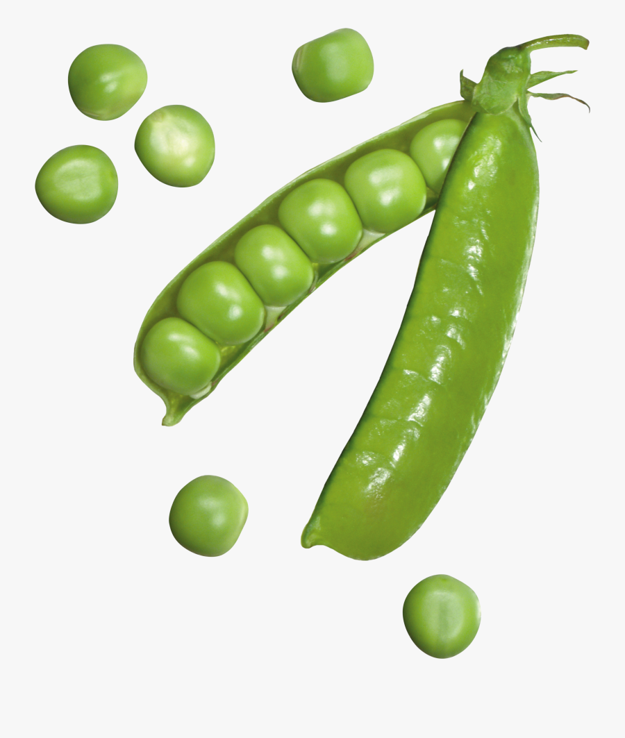 Free Download Of Pea Icon - Peas Png, Transparent Clipart