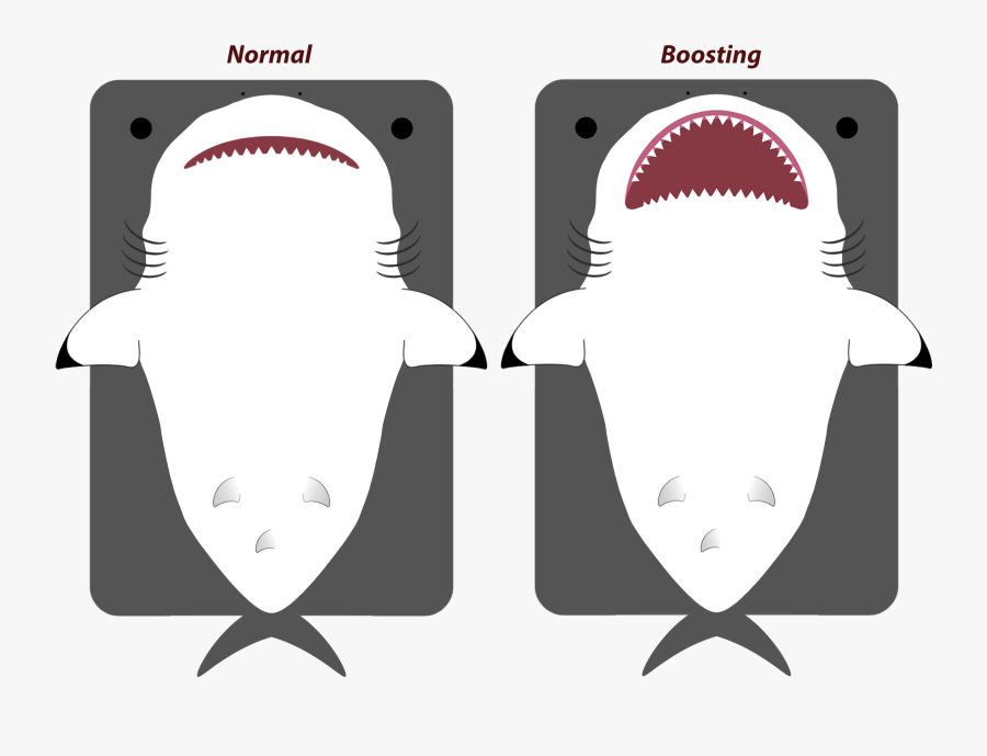 Tiger Shark, Transparent Clipart