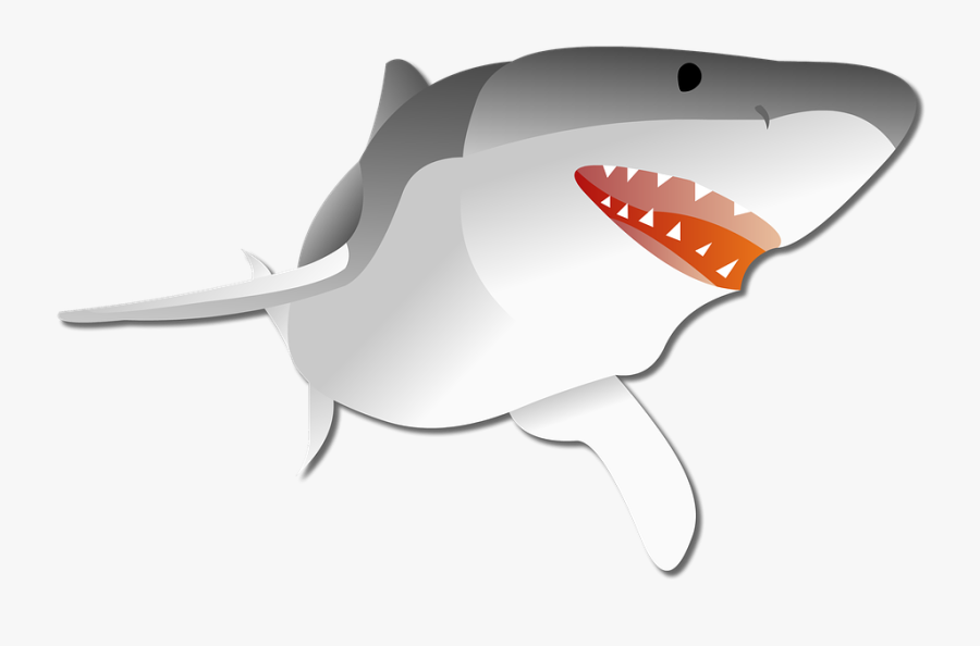 Shark, Graphic, Predator - Silvestri Sharks, Transparent Clipart