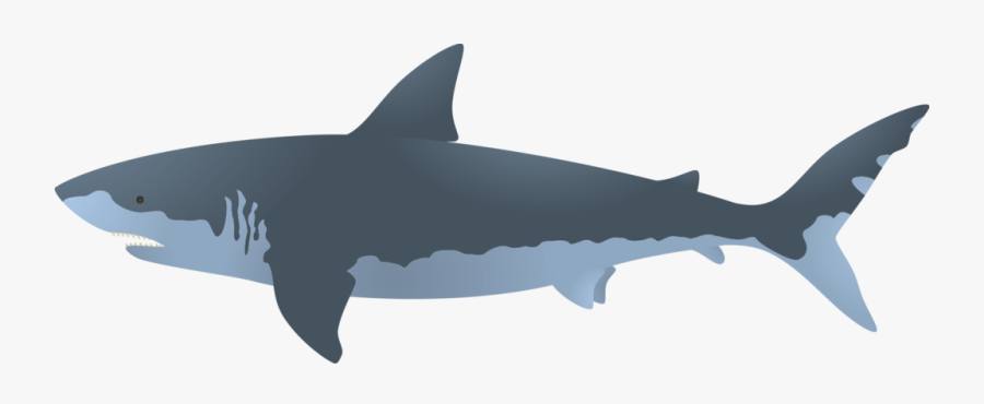 Megalodon Png Free Download - Megalodon Shark Vector, Transparent Clipart