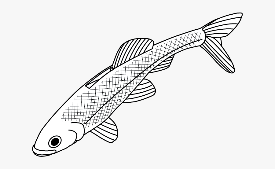 Line Art, Transparent Clipart