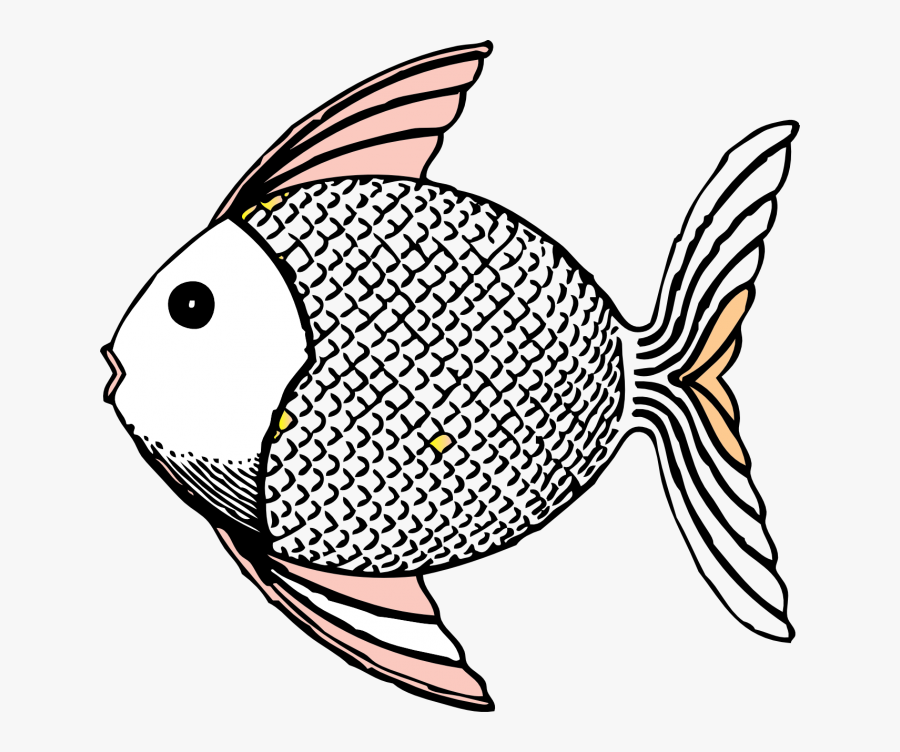 Brim Fish Black And White Png - Animals With Scales Clipart, Transparent Clipart