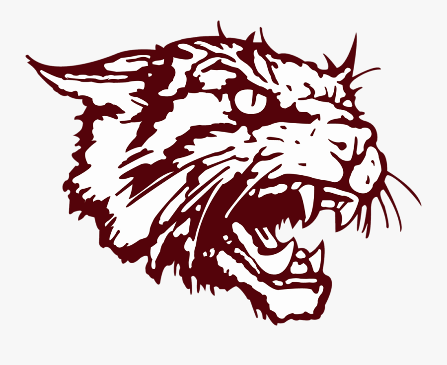 Clear Creek High School Wildcat, Transparent Clipart