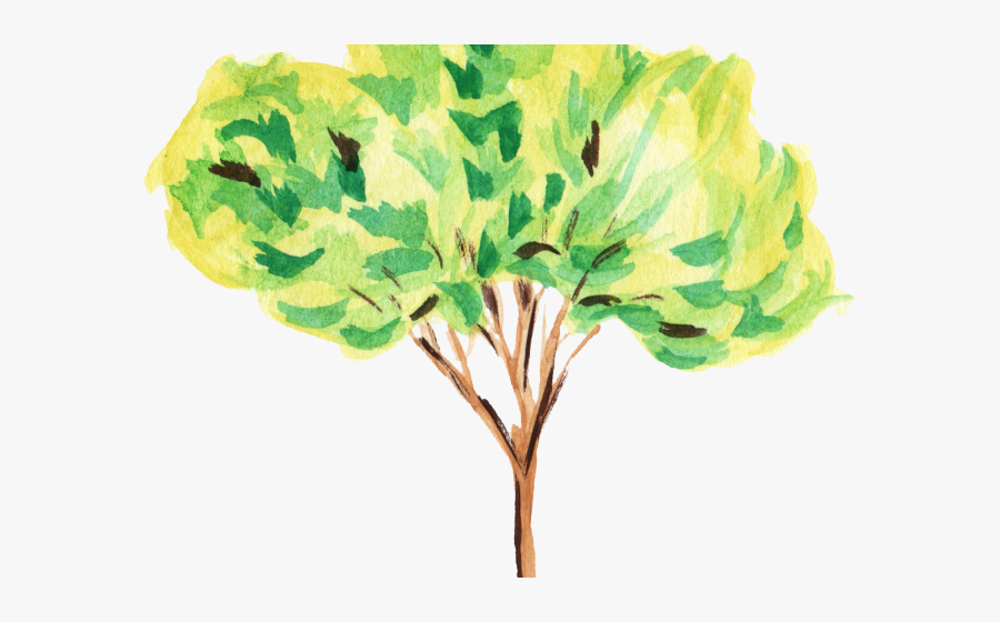 Transparent Garden Gate Clipart - Watercolor Tree Transparent Background, Transparent Clipart