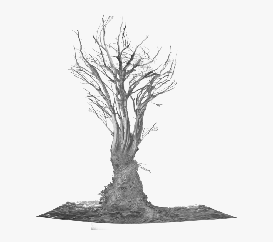 Scary Tree Png, Transparent Clipart