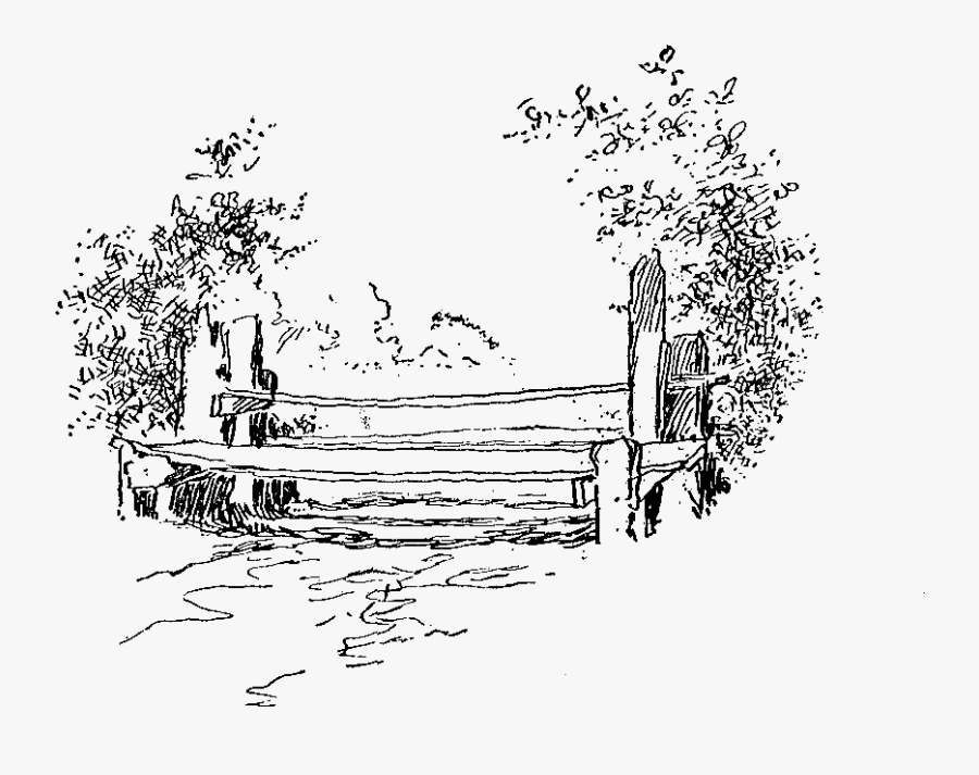 Line Art, Transparent Clipart