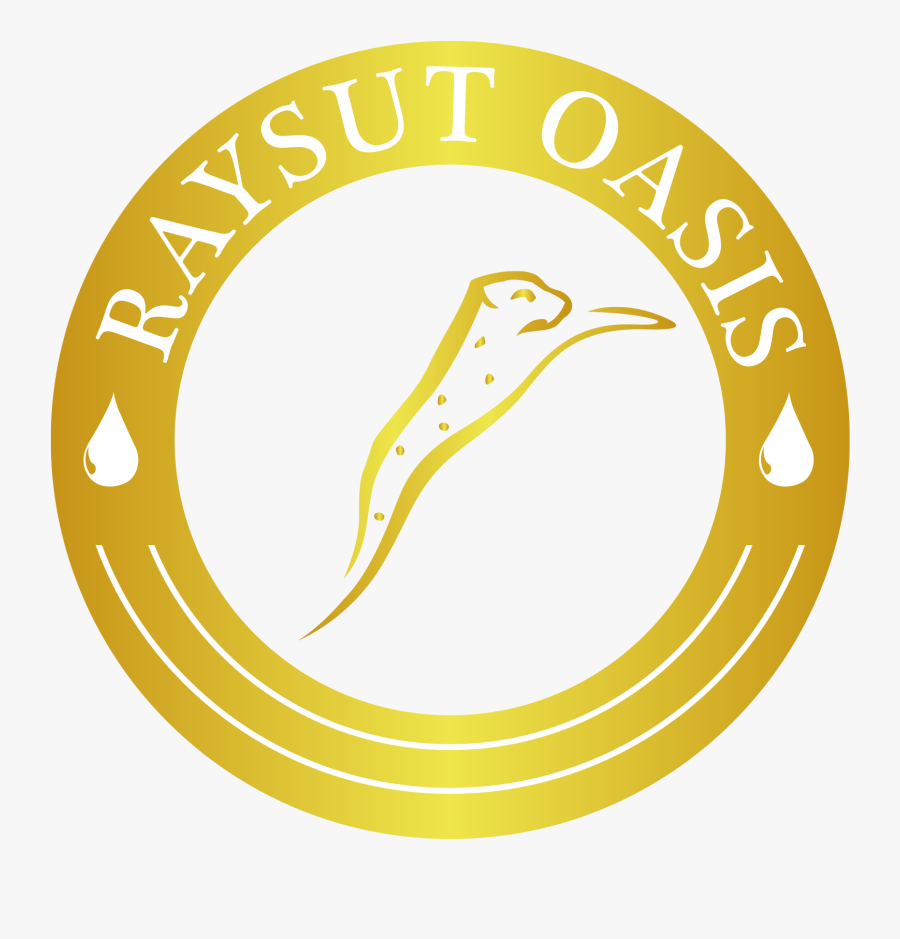 Raysut Oasis - Superior Dome, Transparent Clipart
