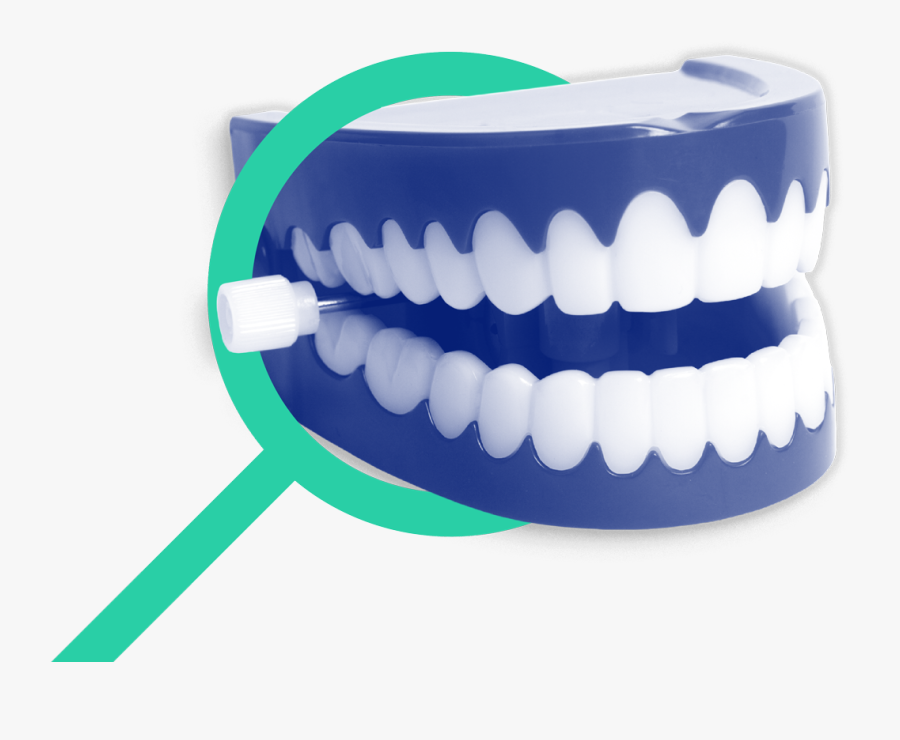 Testcdcscdscd - Joke Wind Up Teeth, Transparent Clipart