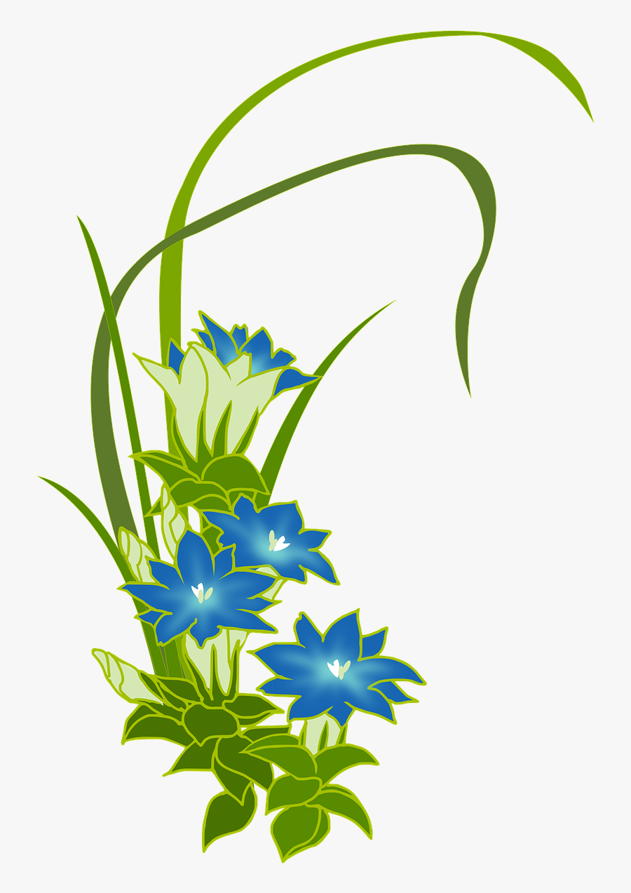 Transparent Wild Flowers Png - Genziana Clipart, Transparent Clipart
