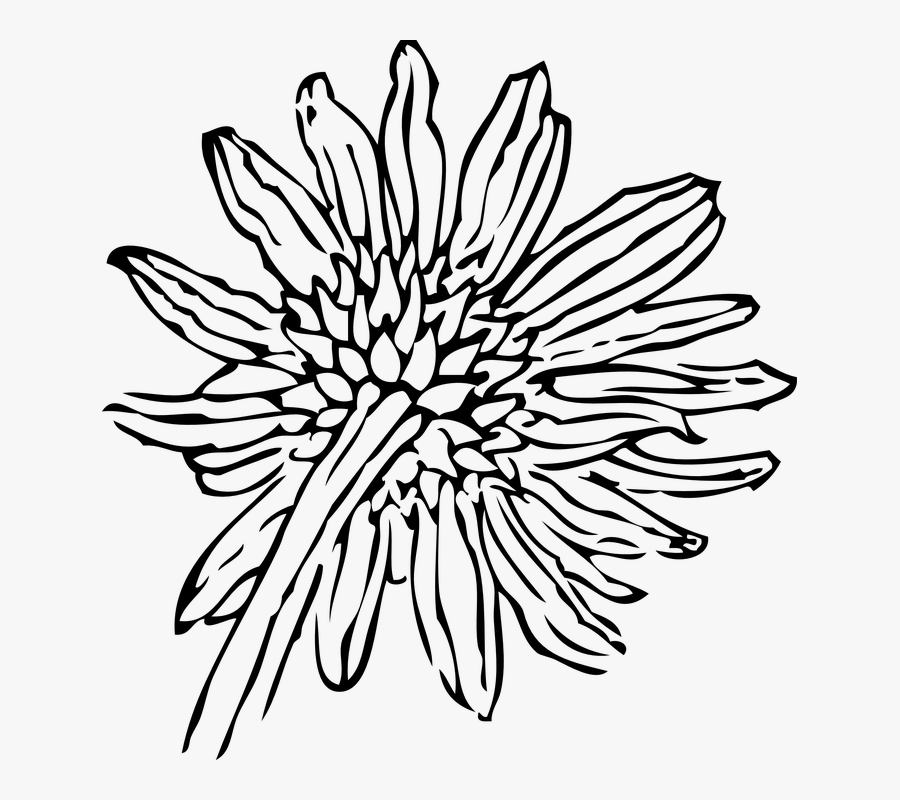 Simple Flower Outline 14, Buy Clip Art - Sunflower Clip Art, Transparent Clipart