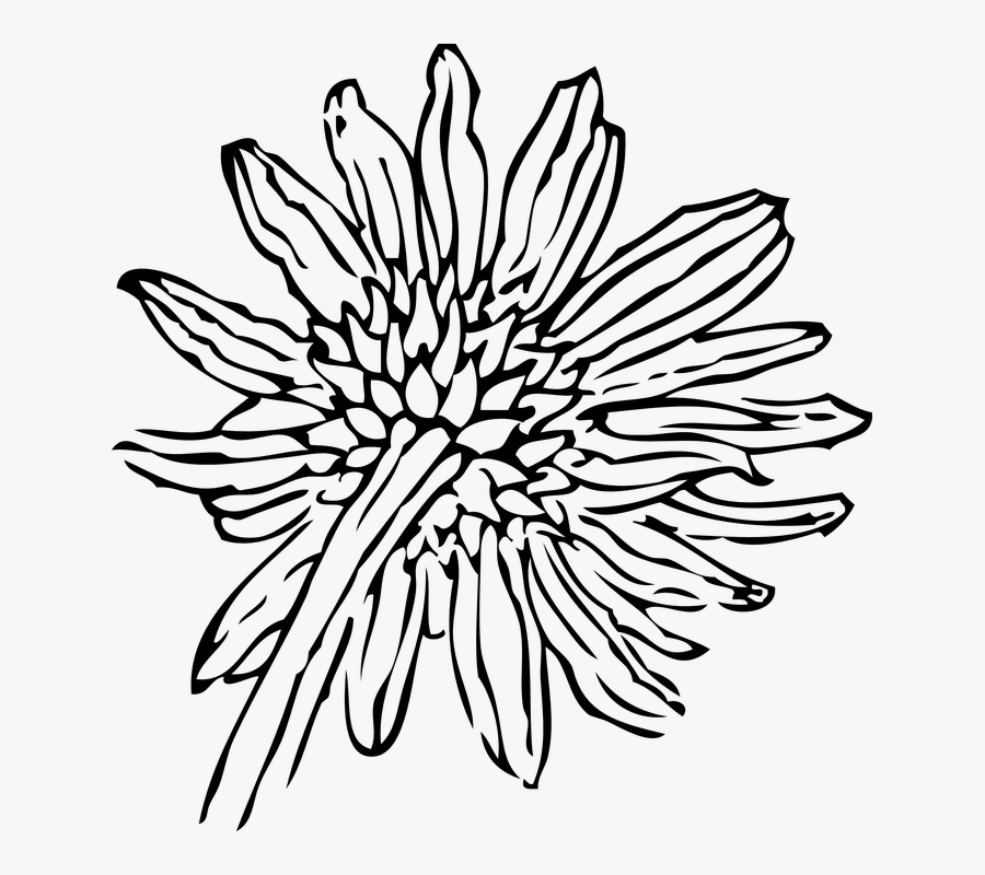 Free Free 239 Outline Free Sunflower Clipart SVG PNG EPS DXF File