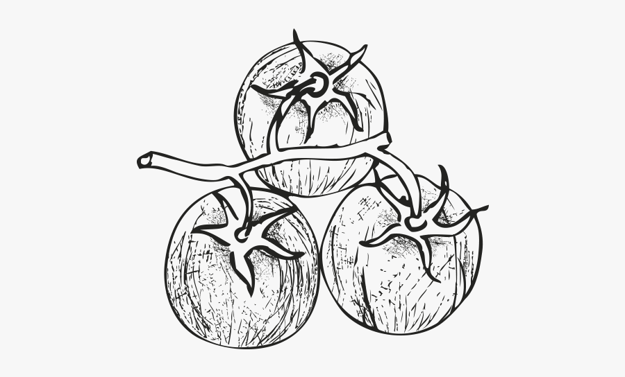 Sketch, Transparent Clipart