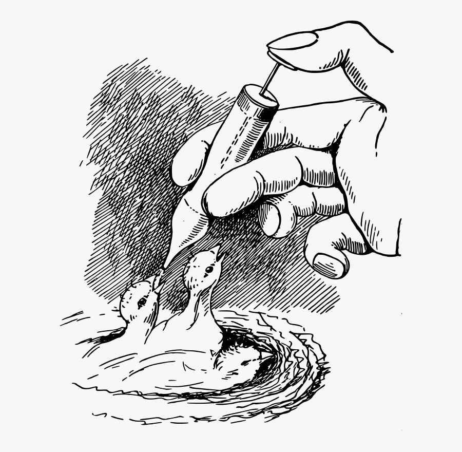 Sketch, Transparent Clipart
