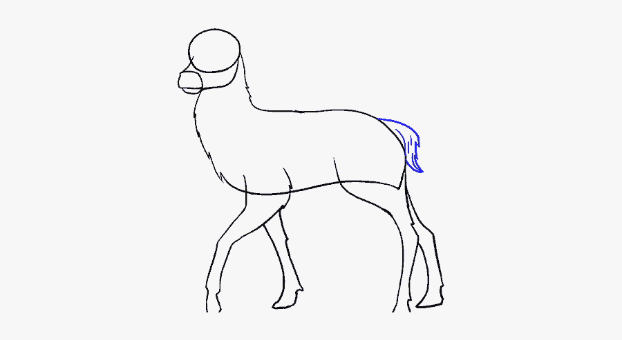 Line Art, Transparent Clipart