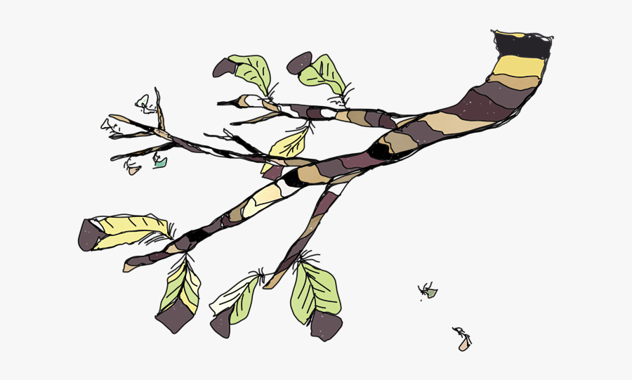 Feather Tree - Illustration, Transparent Clipart