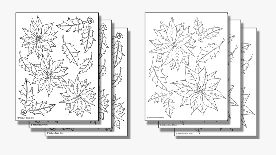 Line Art, Transparent Clipart