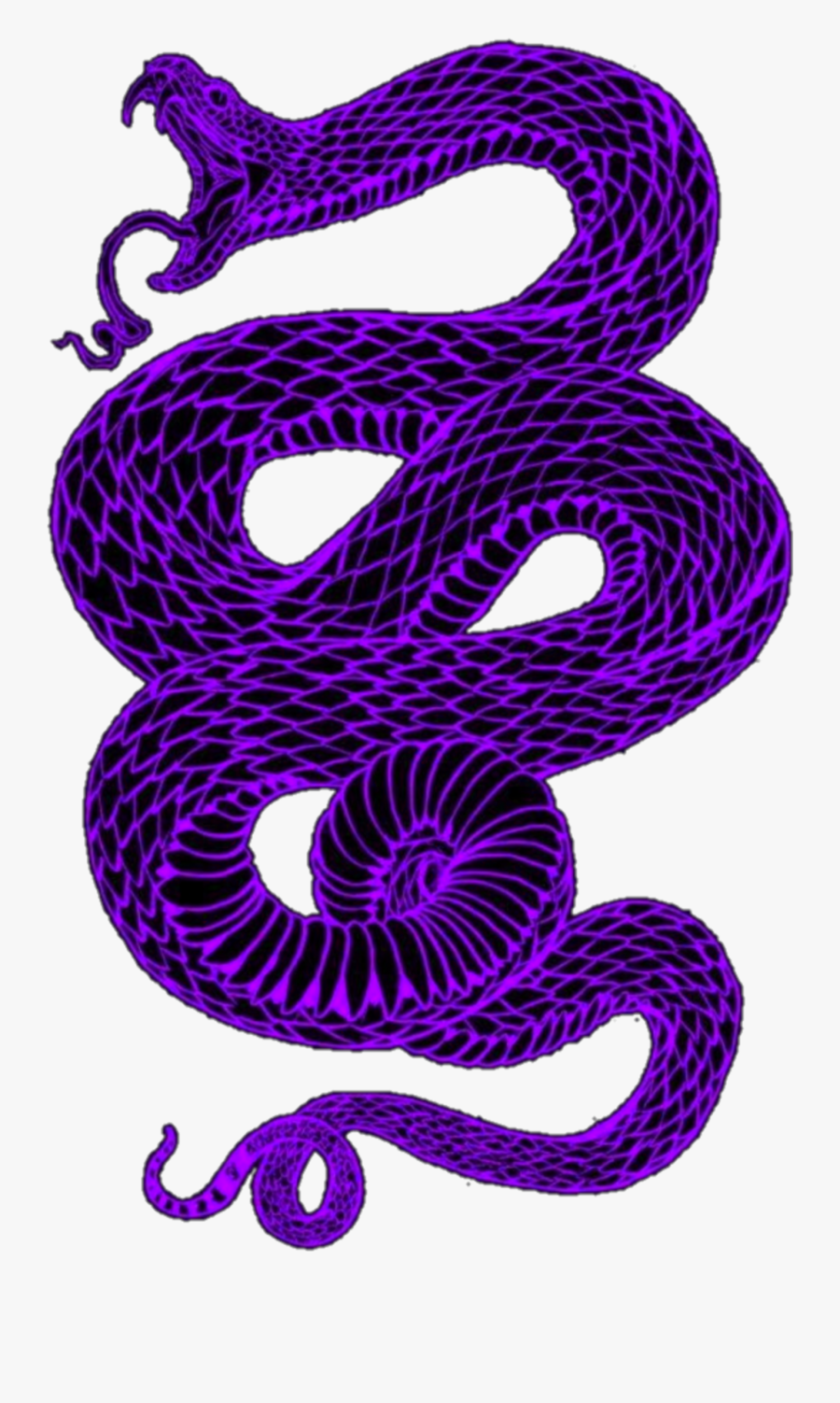 #purple #snake #aesthetic #dark #goth #eboy #egirl - Snake Wallpaper Aesthetic, Transparent Clipart