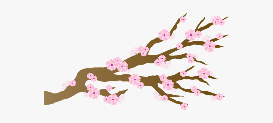 Japanese Cherry Blossom Tree Cartoon, Transparent Clipart