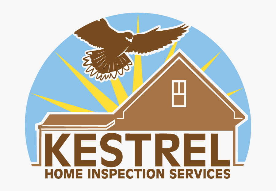 Hawk, Transparent Clipart