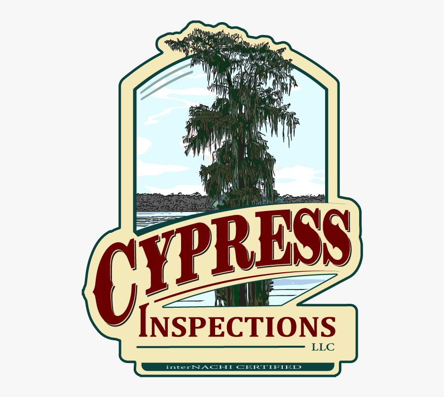 Brevard Florida Home Inspection - Palm Tree, Transparent Clipart