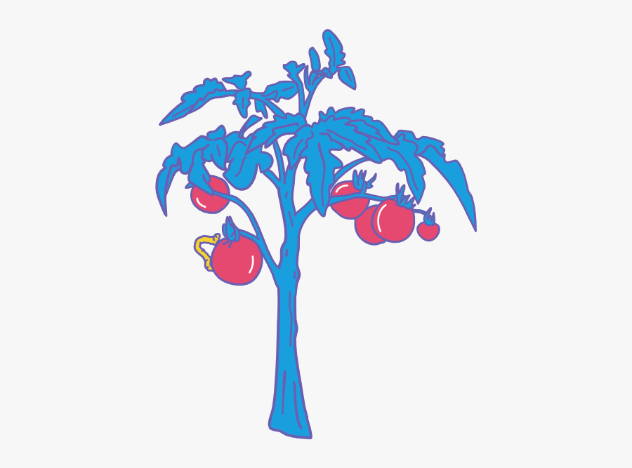 The Homestead, Transparent Clipart