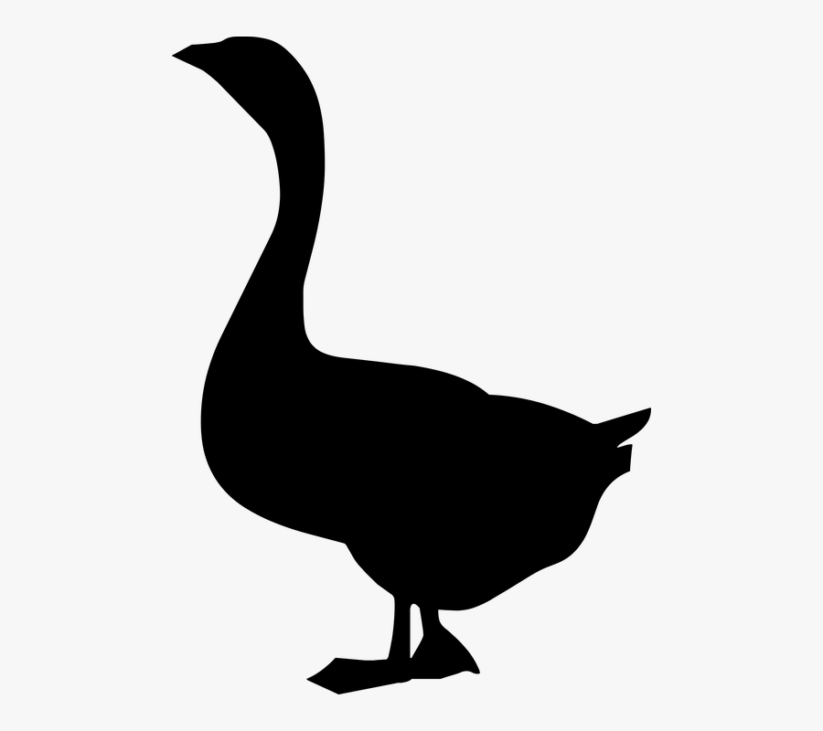 Silhouette, Bird, Nature, Dark, Wildlife, Flying, Sky - Ganzo En Vector, Transparent Clipart