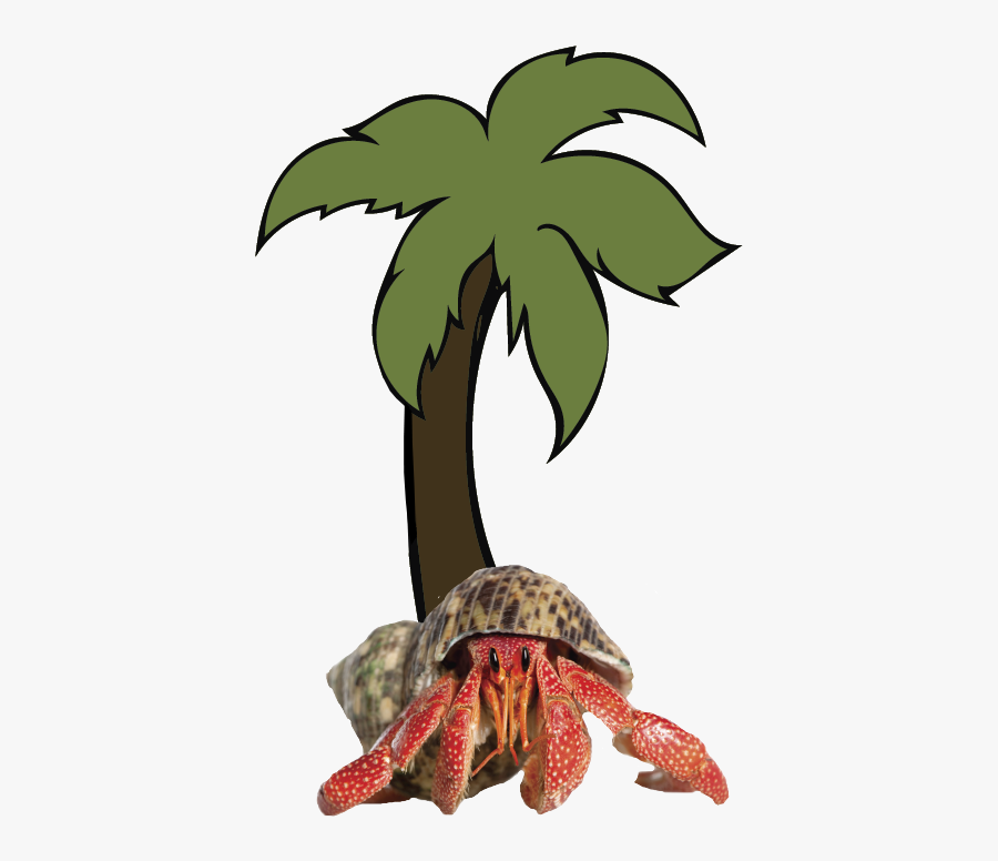 Hermit Crab Front View, Transparent Clipart